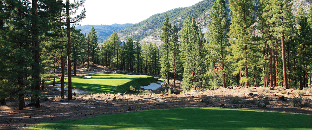 golf course in the woods